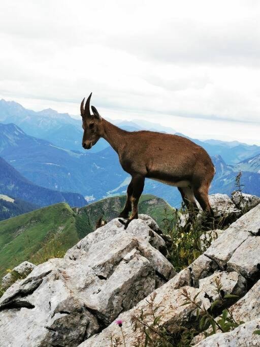 Appartement Vue Sur Le Golf Et Le Lac Leman Publier Luaran gambar